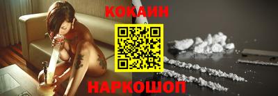шишки Брянск