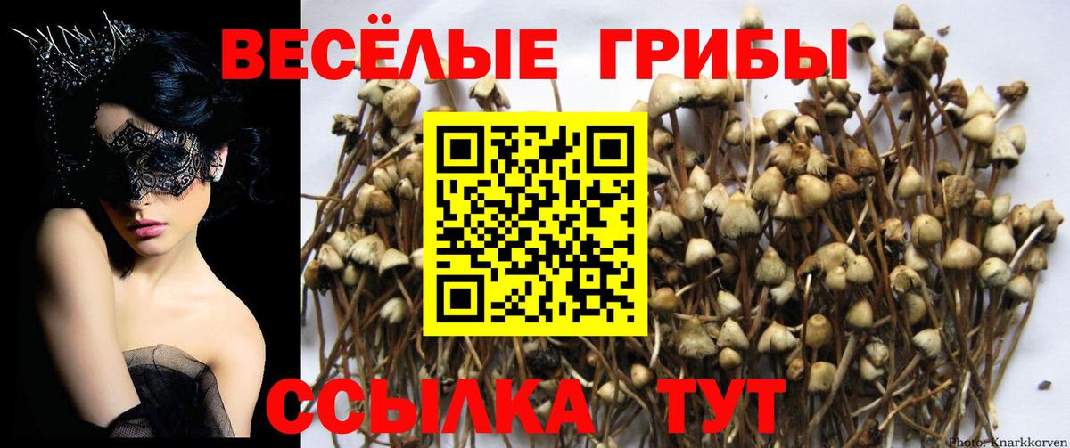 Псилоцибиновые грибы мухоморы  Псилоцибиновые грибы Cubensis  Вход с VPN  Каменск-Шахтинский 